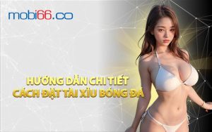 Hướng Dẫn Chi Tiết Cách Đặt Tài Xỉu Bóng Đá