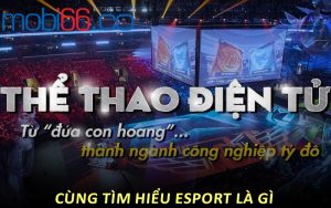 Cùng tìm hiểu Esport là gì