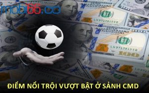 Điểm nổi trội vượt bật ở sảnh CMD