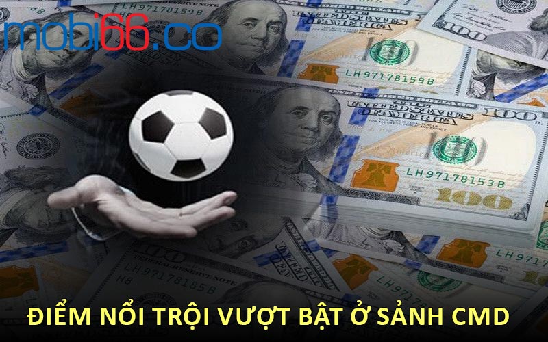 Điểm nổi trội vượt bật ở sảnh CMD