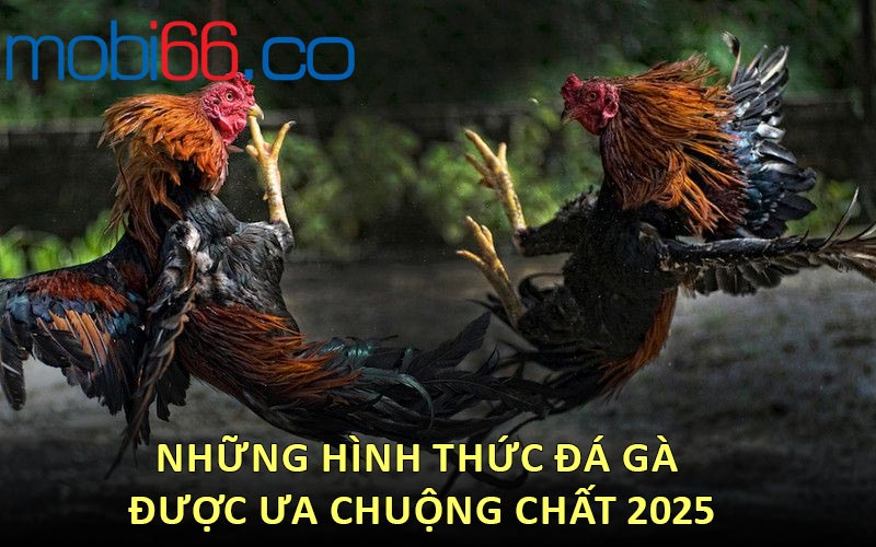 Những hình thức đá gà được ưa chuộng chất 2025
